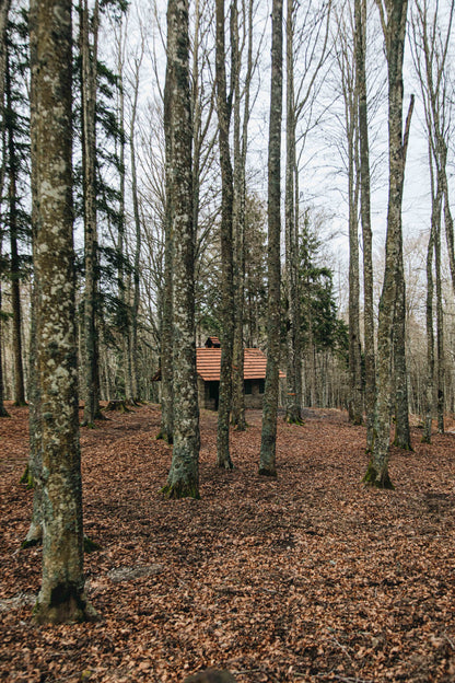 Quiet Cabin Diffuser Oil